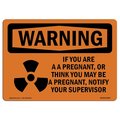 Signmission OSHA WARNING Sign, You Are Pregnant Or Think May Be, 24in X 18in Decal, 18" W, 24" L, Landscape OS-WS-D-1824-L-12937